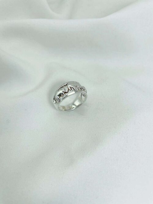 Anillo Elefantes graduales Nº22
