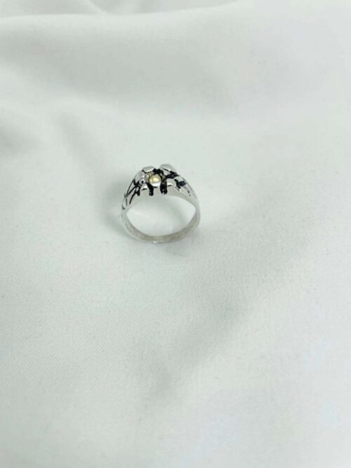 Anillo Relieve con dublé Nº16